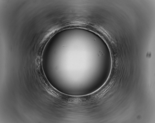 X0000101141355200806270910