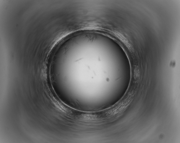 X0000101141356200806270910