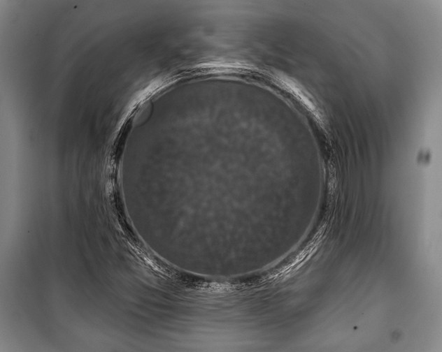 X0000101141357200806270910