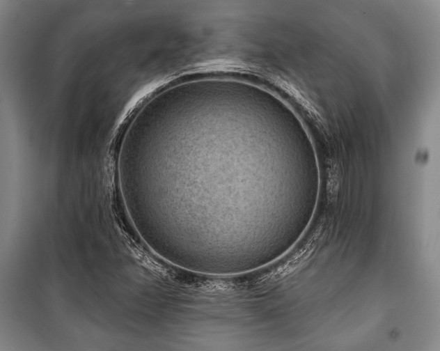 X0000101141358200806270910