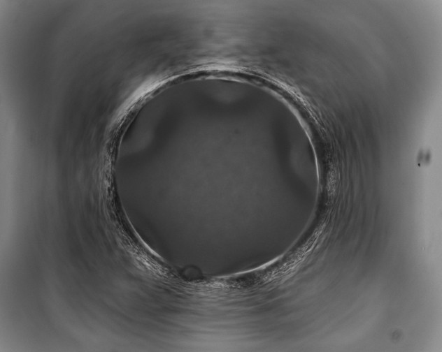 X0000101141359200806270910