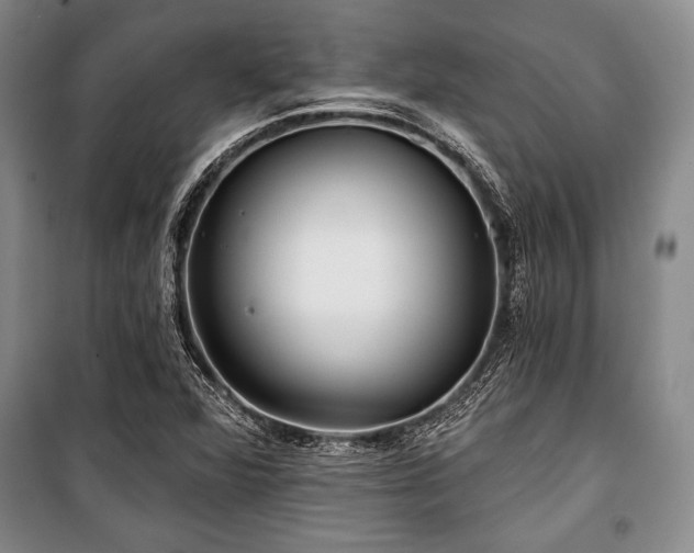 X0000101141360200806270910