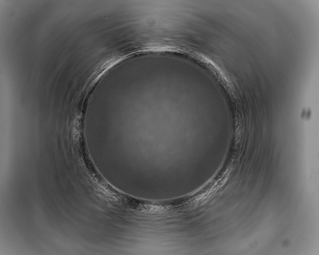 X0000101141361200806270910