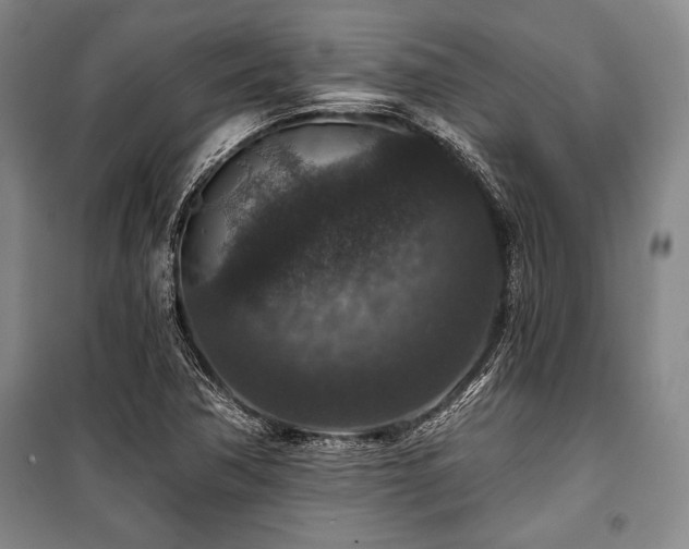 X0000101141362200806270910