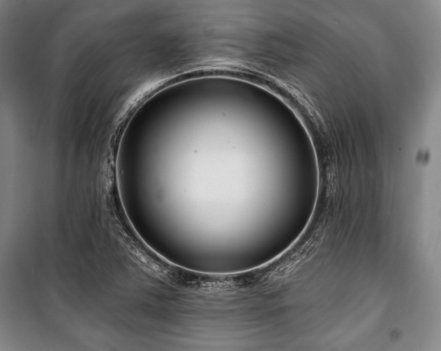 X0000101141363200806270910