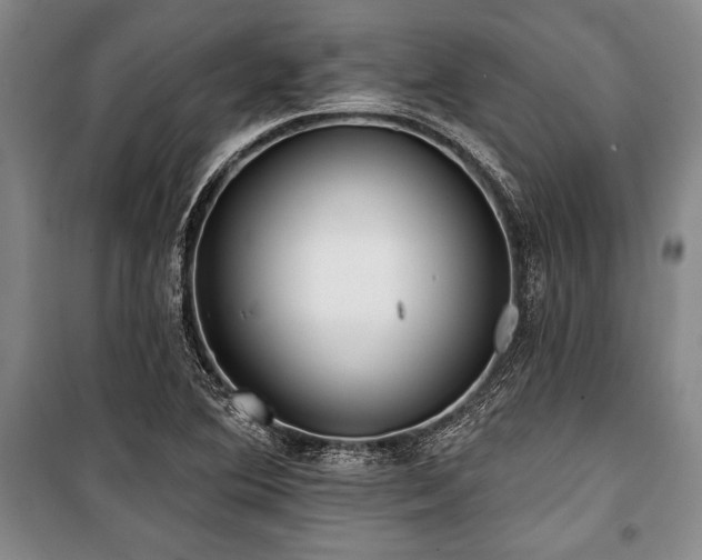 X0000101141364200806270910