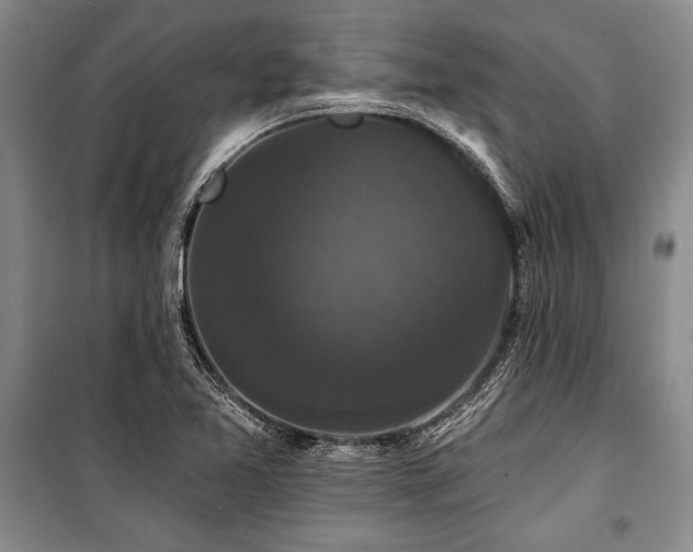 X0000101141365200806270910