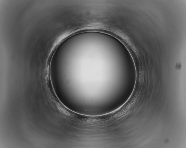 X0000101141366200806270910