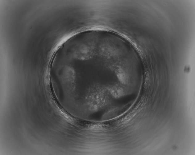 X0000101141367200806270910