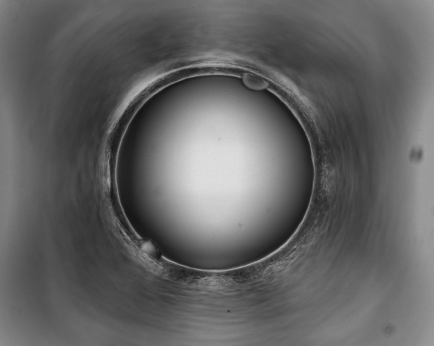 X0000101141368200806270910