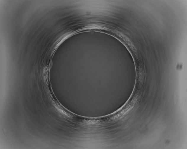 X0000101141369200806270910