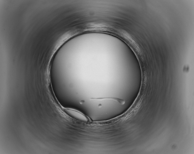 X0000101141370200806270910