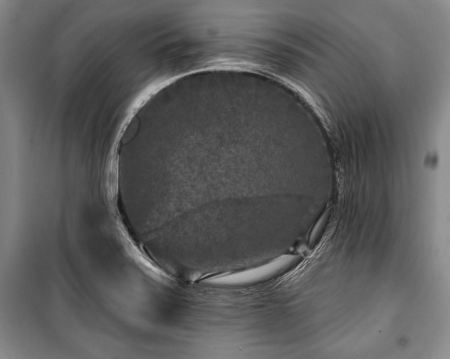 X0000101141371200806270910