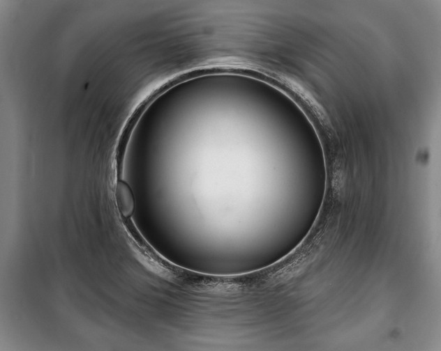 X0000101141372200806270910