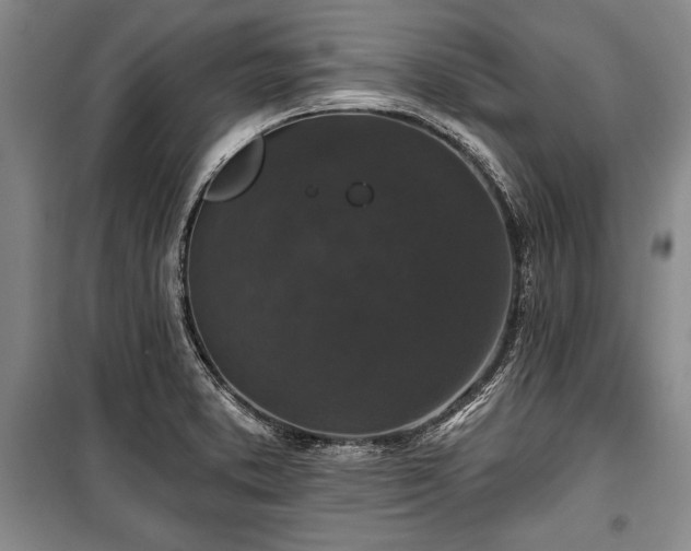 X0000101141373200806270910