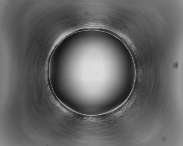 X0000101141374200806270910