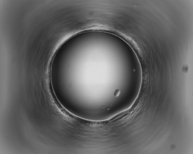 X0000101141375200806270910