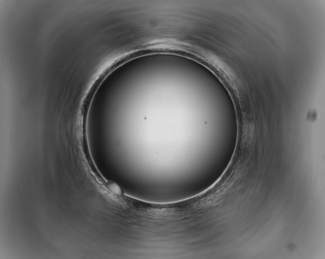 X0000101141376200806270910