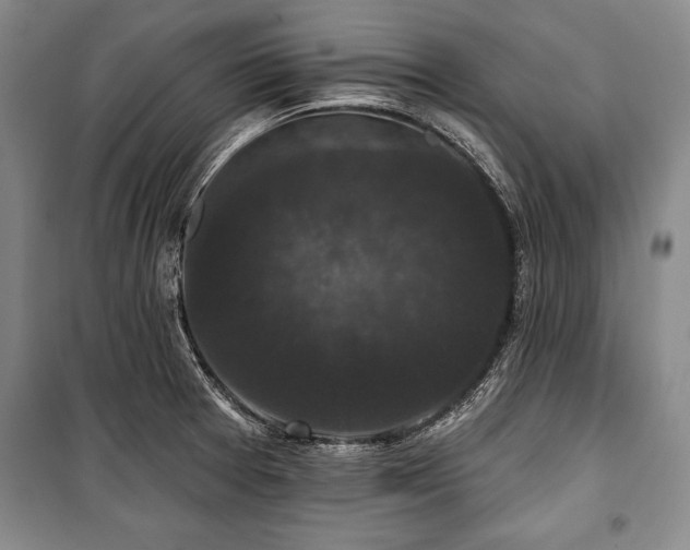 X0000101141377200806270910