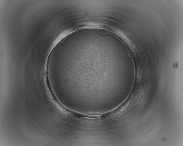 X0000101141378200806270910