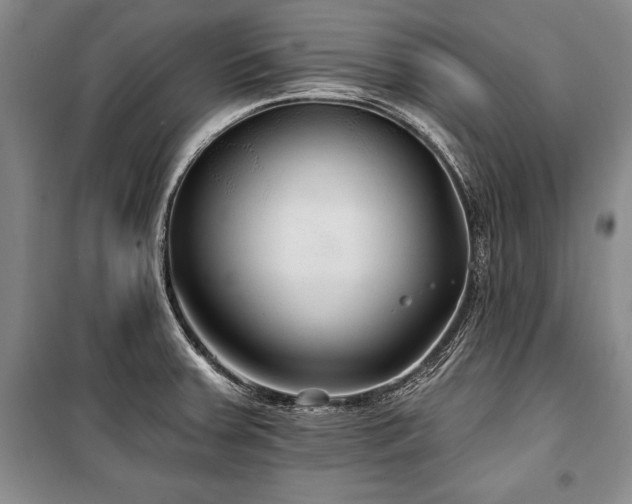 X0000101141379200806270910