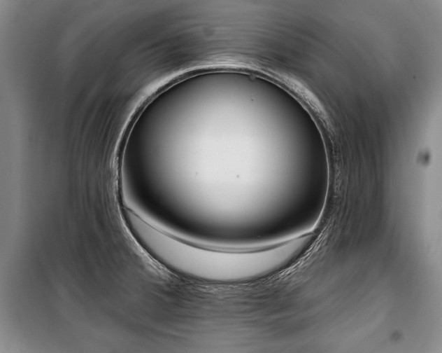 X0000101141380200806270910