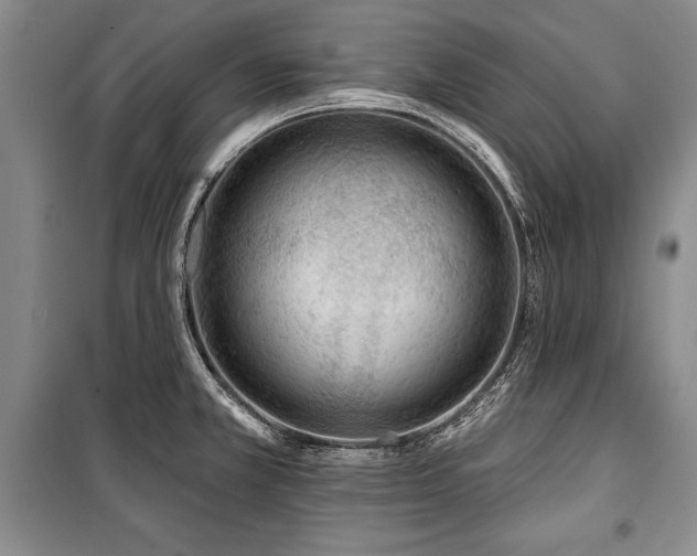 X0000101141381200806270910