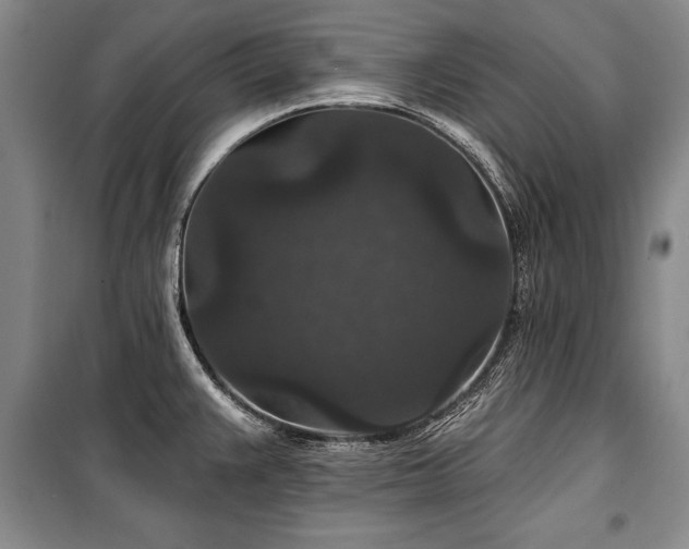 X0000101141383200806270909