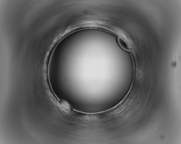 X0000101141384200806270909