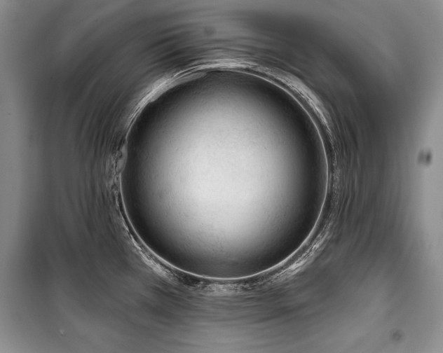 X0000101141385200806270909