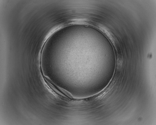 X0000101141386200806270909