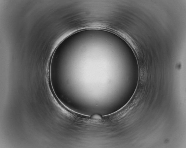 X0000101141387200806270909