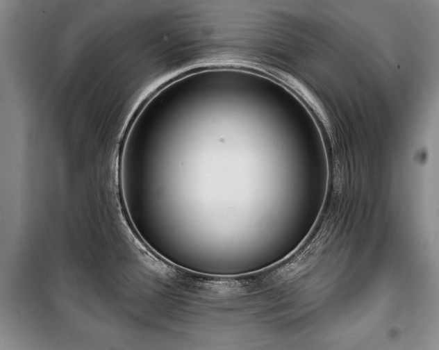 X0000101141388200806270909