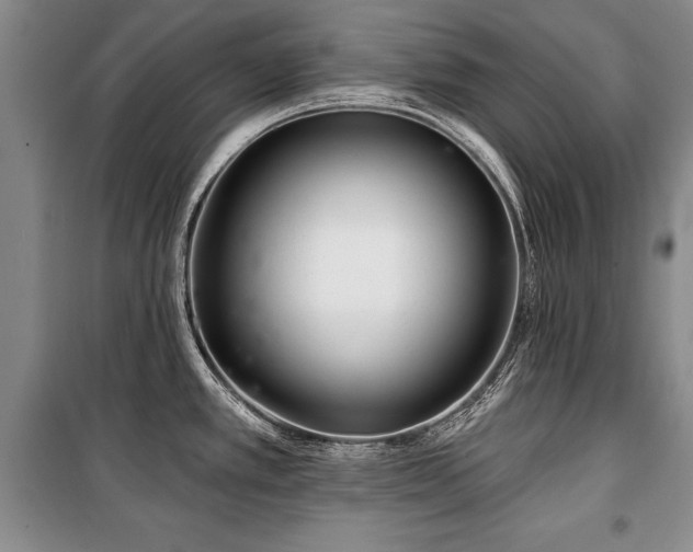 X0000101141389200806270909