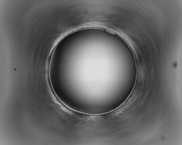 X0000101141390200806270909