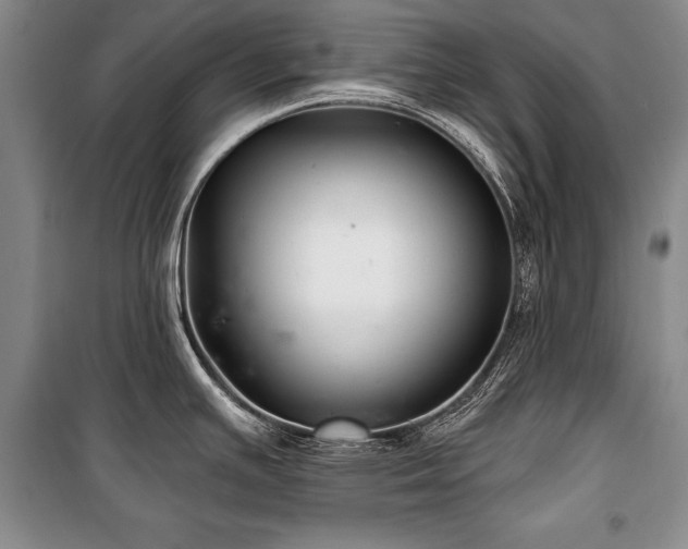 X0000101141391200806270909