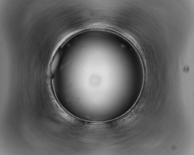 X0000101141392200806270909