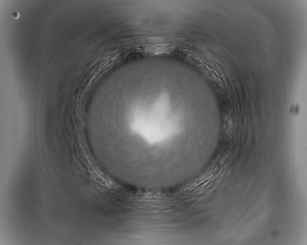 X0000101141393200806270909