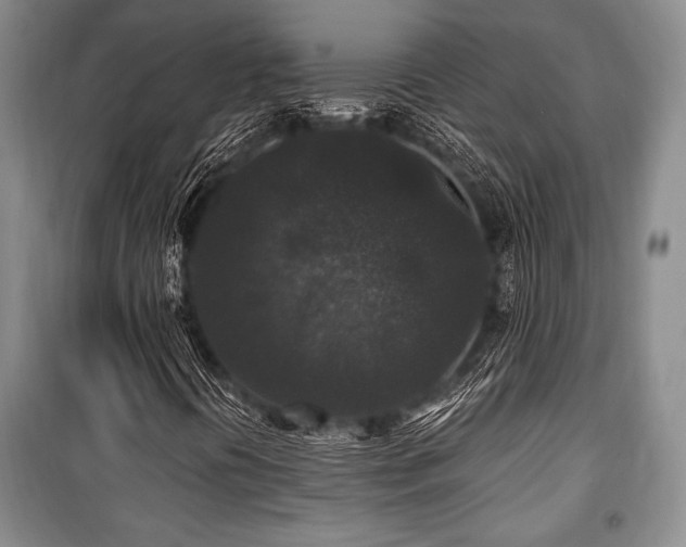 X0000101141394200806270909