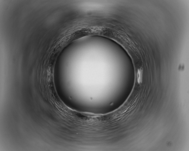 X0000101141395200806270909