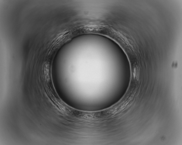 X0000101141396200806270909