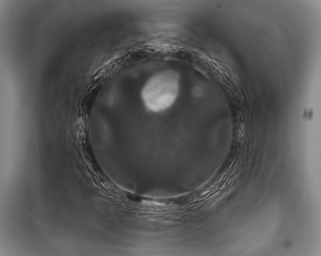 X0000101141397200806270909