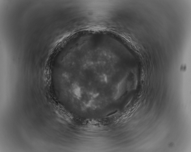 X0000101141398200806270909