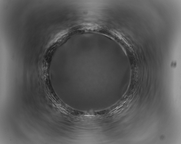 X0000101141399200806270909