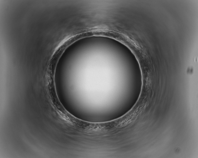 X0000101141400200806270909