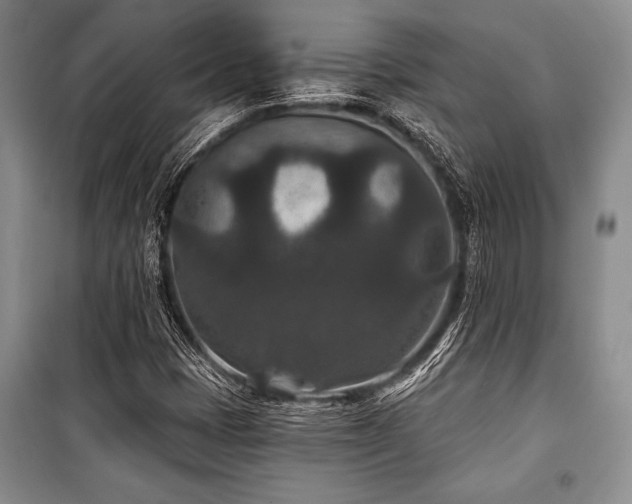 X0000101141401200806270909