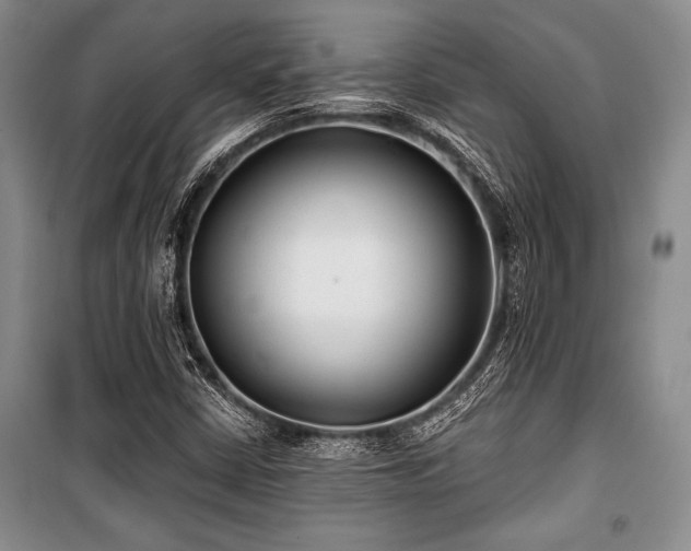 X0000101141402200806270909