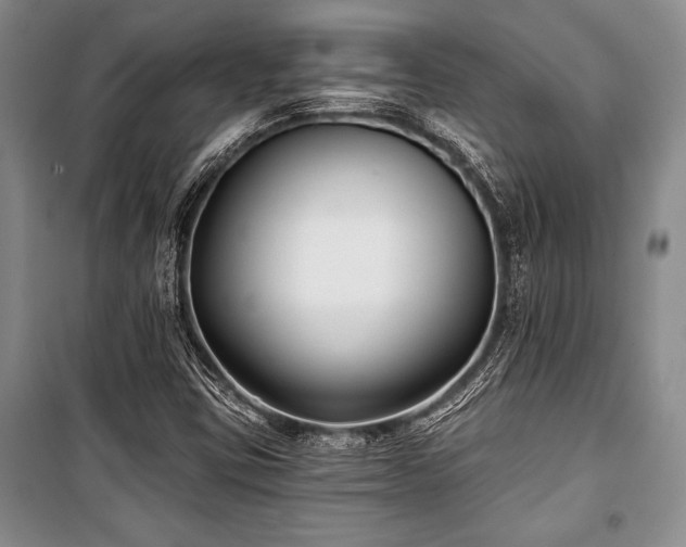 X0000101141403200806270909