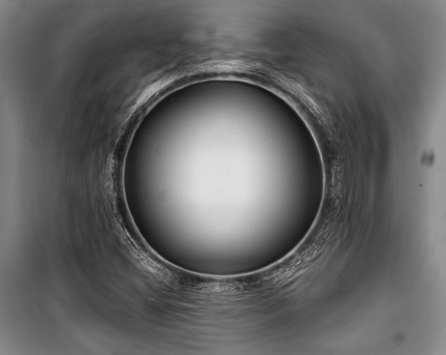 X0000101141404200806270909