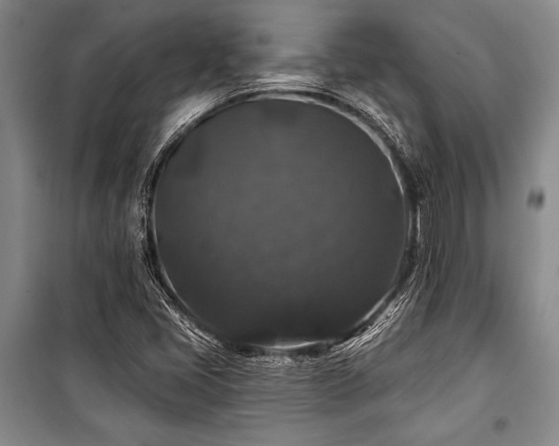 X0000101141405200806270909